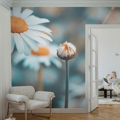 Fototapeta na míru do obýváku Heřmánková pochoutka