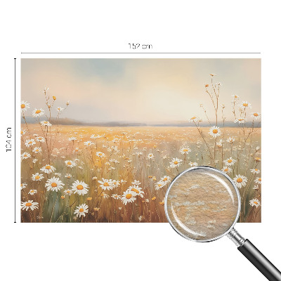 3D fototapeta Květinová louka