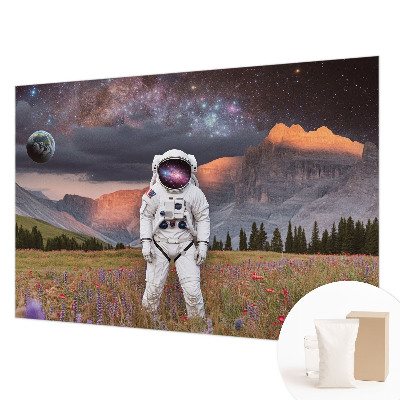 Fototapeta s potiskem na vliesu Kosmická krajina