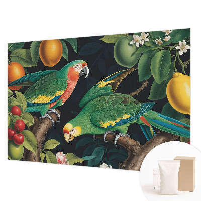 Fototapeta s potiskem na vliesu Tropické dobrodružství