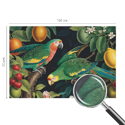 Fototapeta s potiskem na vliesu Tropické dobrodružství