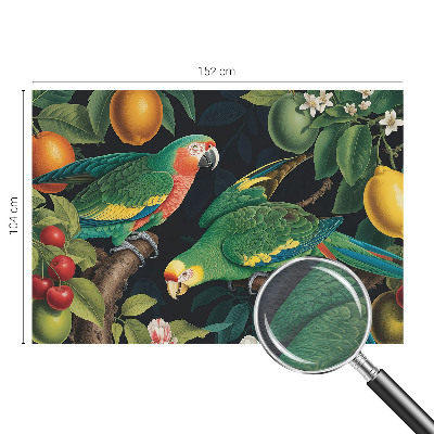 Fototapeta s potiskem na vliesu Tropické dobrodružství