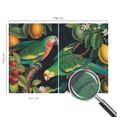 Fototapeta s potiskem na vliesu Tropické dobrodružství