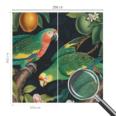 Fototapeta s potiskem na vliesu Tropické dobrodružství