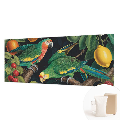 Fototapeta s potiskem na vliesu Tropické dobrodružství