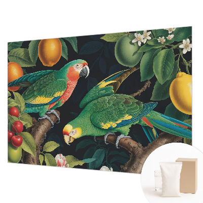 Fototapeta s potiskem na vliesu Tropické dobrodružství