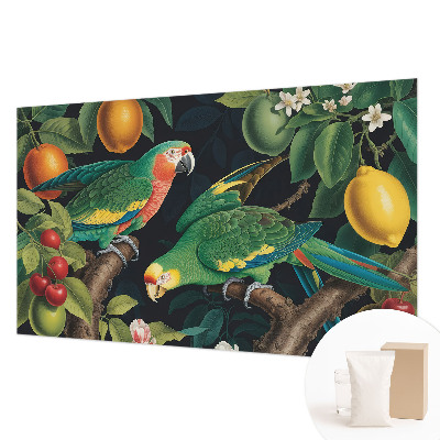 Fototapeta s potiskem na vliesu Tropické dobrodružství