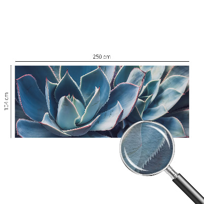 Fototapeta na zeď Zelená aloe