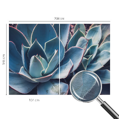Fototapeta na zeď Zelená aloe