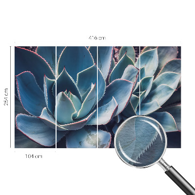 Fototapeta na zeď Zelená aloe