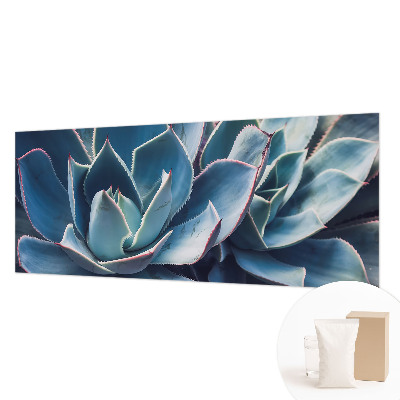 Fototapeta na zeď Zelená aloe