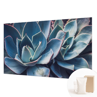 Fototapeta na zeď Zelená aloe