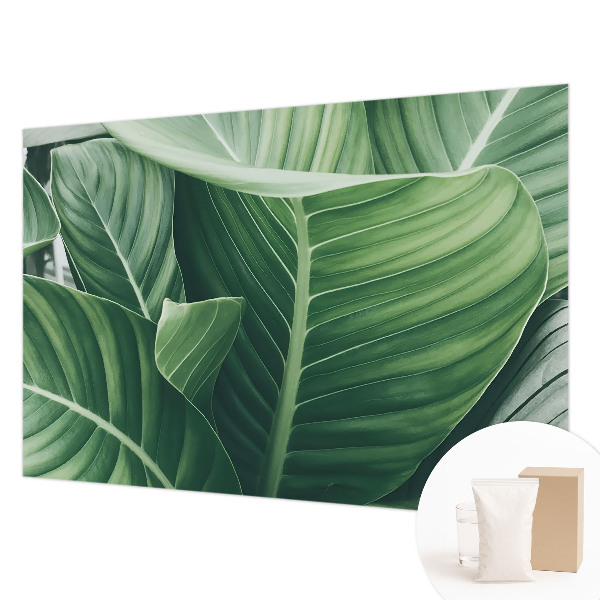 Vliesová fototapeta na zeď Zelený mír