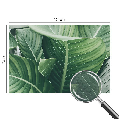 Vliesová fototapeta na zeď Zelený mír