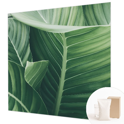 Vliesová fototapeta na zeď Zelený mír