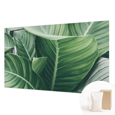 Vliesová fototapeta na zeď Zelený mír