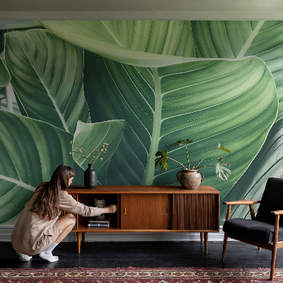 Vliesová fototapeta na zeď Zelený mír