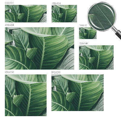 Vliesová fototapeta na zeď Zelený mír