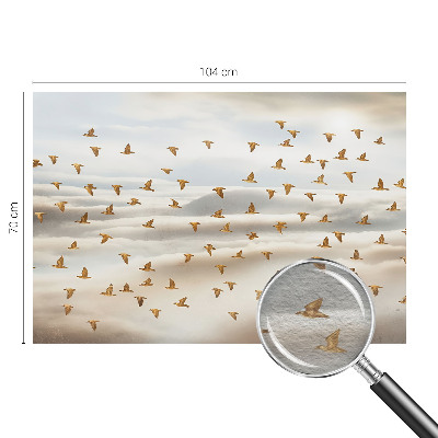 Dekorativní fototapeta na zeď Ptáci za letu