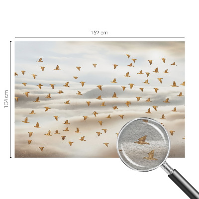 Dekorativní fototapeta na zeď Ptáci za letu