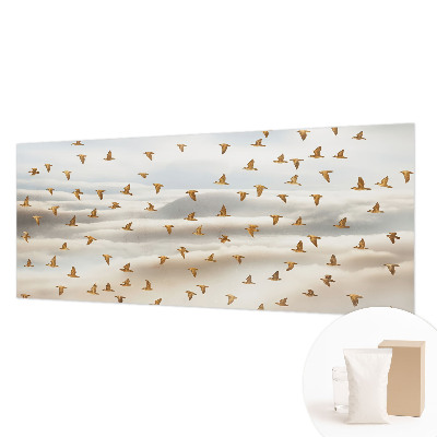 Dekorativní fototapeta na zeď Ptáci za letu