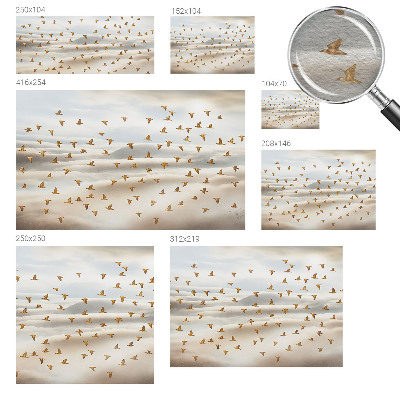 Dekorativní fototapeta na zeď Ptáci za letu