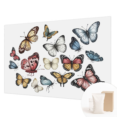 Fotografická tapeta na vliesu Ráj motýlů