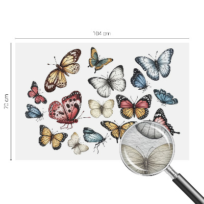 Fotografická tapeta na vliesu Ráj motýlů