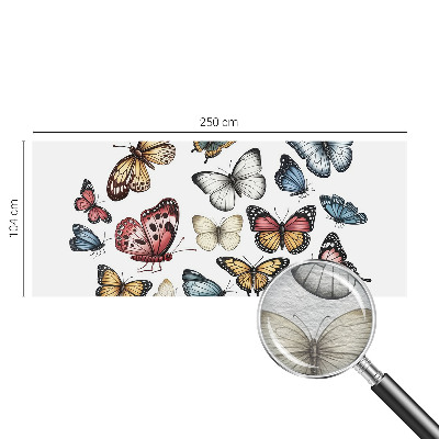 Fotografická tapeta na vliesu Ráj motýlů