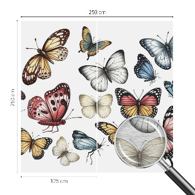 Fotografická tapeta na vliesu Ráj motýlů