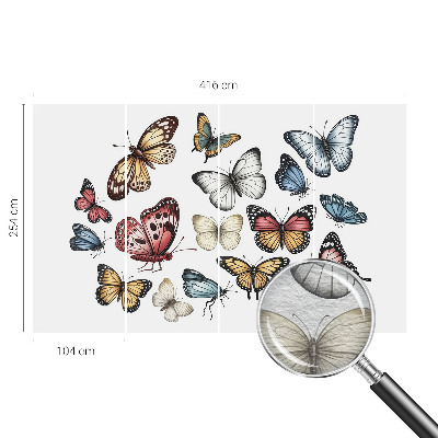 Fotografická tapeta na vliesu Ráj motýlů