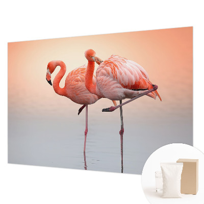 Moderní fototapeta na míru Křehké plameňáci