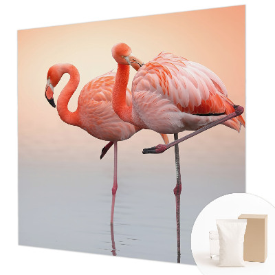 Moderní fototapeta na míru Křehké plameňáci