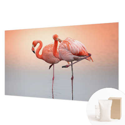 Moderní fototapeta na míru Křehké plameňáci