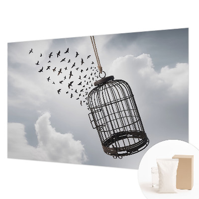 Vliesová fototapeta do ložnice Létající ptáci