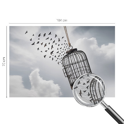 Vliesová fototapeta do ložnice Létající ptáci