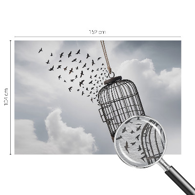 Vliesová fototapeta do ložnice Létající ptáci