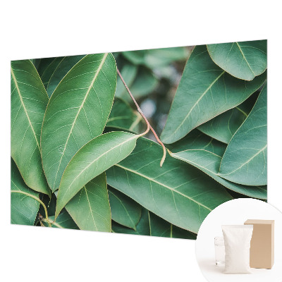 Fototapeta na míru do obýváku Zelené listy