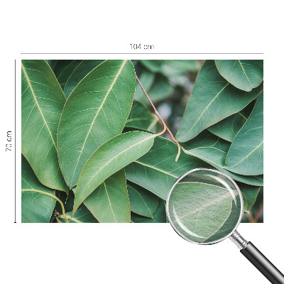 Fototapeta na míru do obýváku Zelené listy