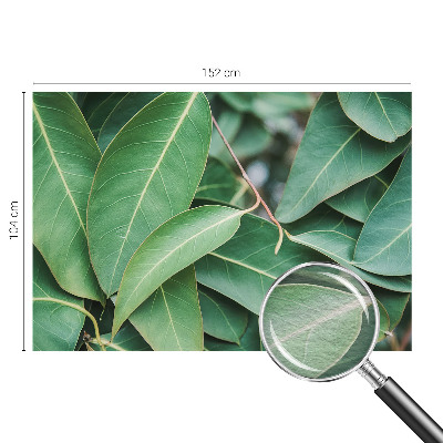 Fototapeta na míru do obýváku Zelené listy