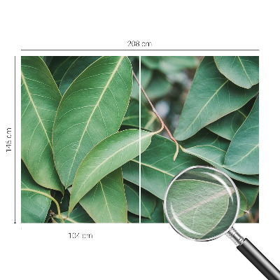 Fototapeta na míru do obýváku Zelené listy