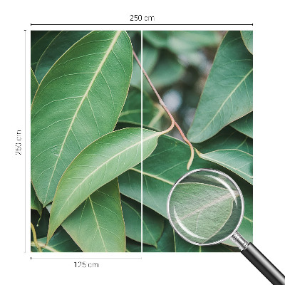 Fototapeta na míru do obýváku Zelené listy