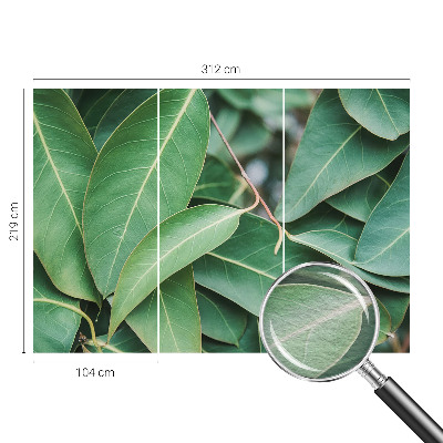 Fototapeta na míru do obýváku Zelené listy