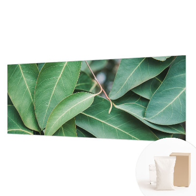 Fototapeta na míru do obýváku Zelené listy