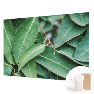 Fototapeta na míru do obýváku Zelené listy