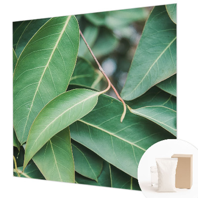 Fototapeta na míru do obýváku Zelené listy