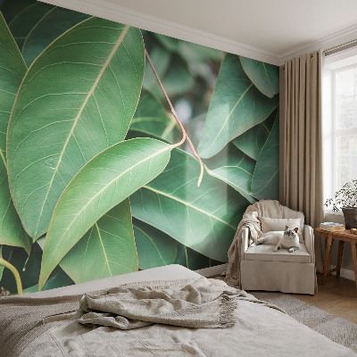 Fototapeta na míru do obýváku Zelené listy