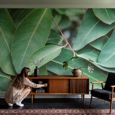 Fototapeta na míru do obýváku Zelené listy