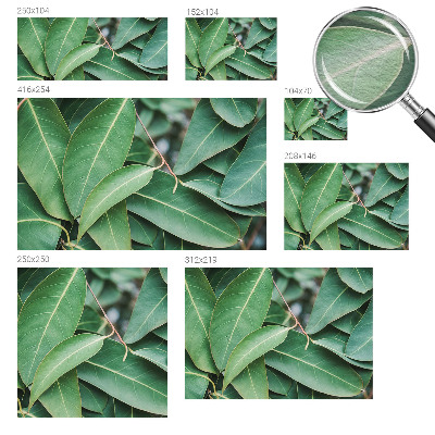 Fototapeta na míru do obýváku Zelené listy