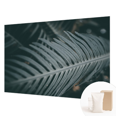 Fototapeta na stěnu Zelený list